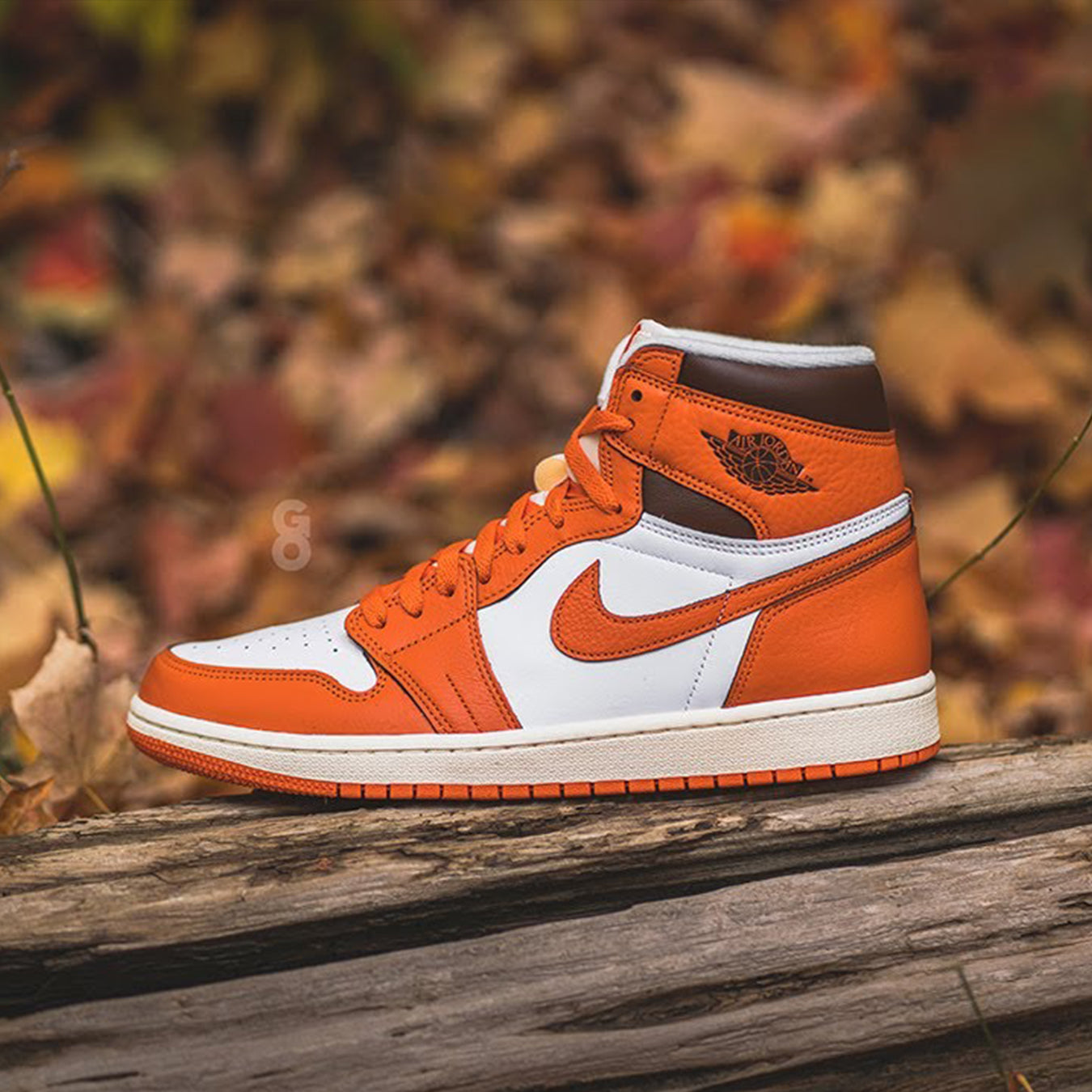 Air Jordan 1 High Wmns OG 'Starfish'